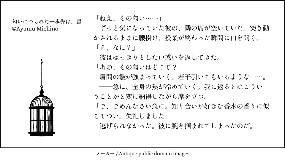 20250427162910-noveladmin.png